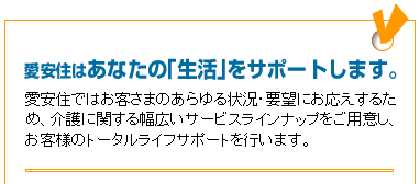 商品紹介